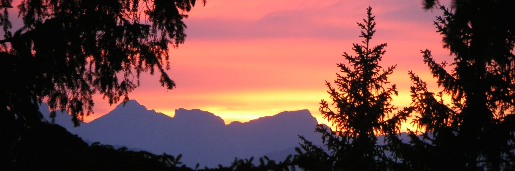 zweisimmen-ommer27