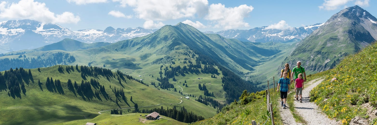 https___www.myswitzerland.com_-_media_dam_resources_places_z_w_zweisimmen_images summer_36302_32001800