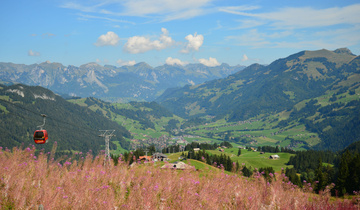DSC_1686 DSC_1686