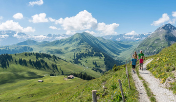 https___www.myswitzerland.com_-_media_dam_resources_places_z_w_zweisimmen_images summer_36302_32001800 https___www.myswitzerland.com_-_media_dam_resources_places_z_w_zweisimmen_images summer_36302_32001800