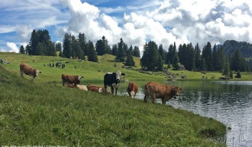 Seebergseeweg