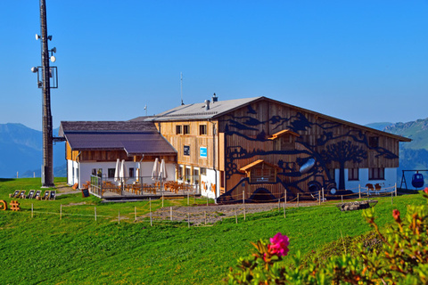 spitz_sommer_neu spitz_sommer_neu