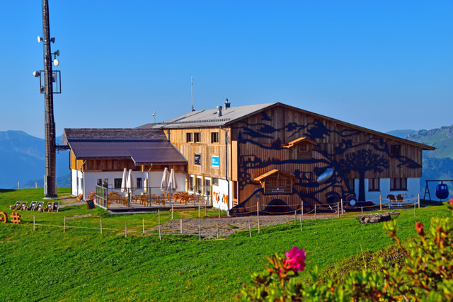 spitz_sommer_neu