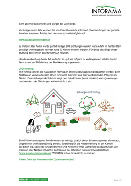 Anschreiben an Gemeinde Asiatische Hornisse melden